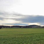 Blick von der Liebenauer Straße zur Viehweide