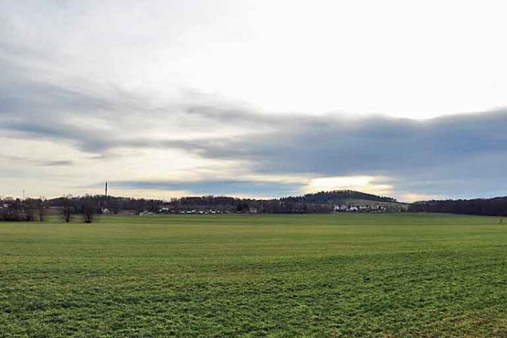 Blick von der Liebenauer Straße zur Viehweide