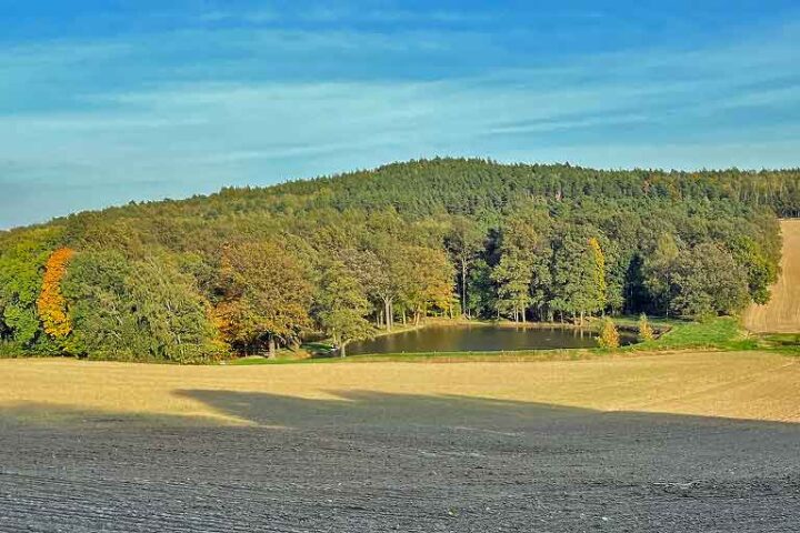Rodelandsteich